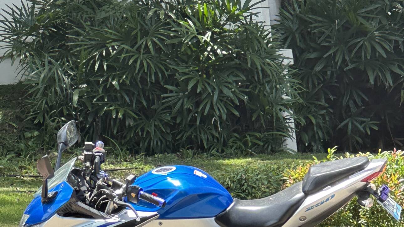 Suzuki Gixxer SF 250
